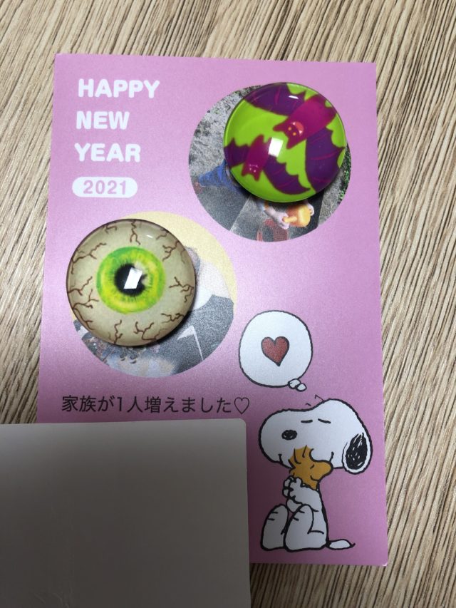 しまうまプリントの年賀状13
