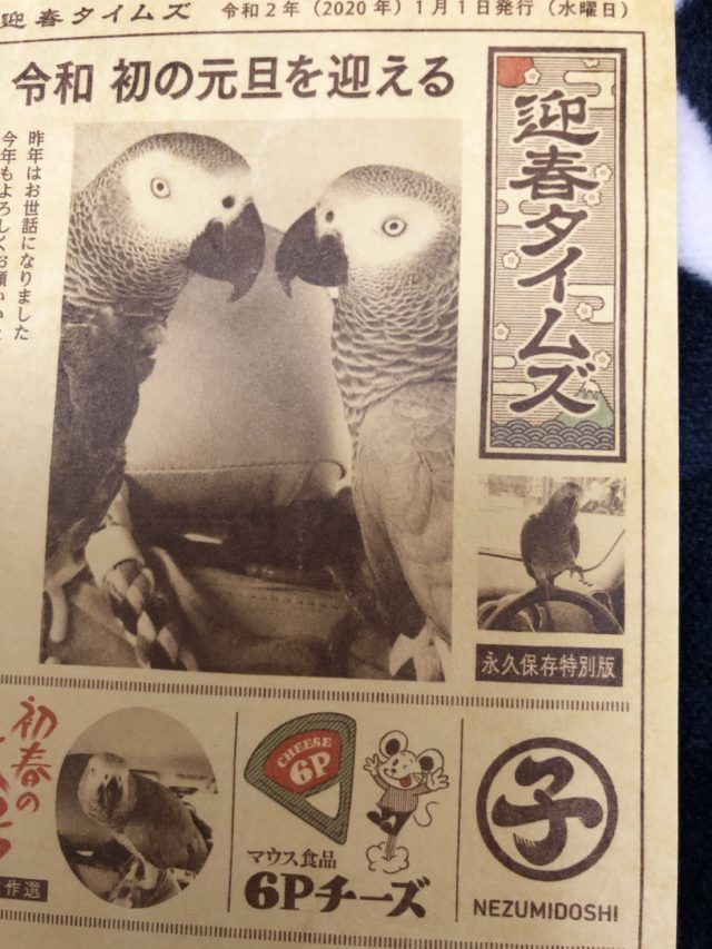 年賀家族の年賀状2